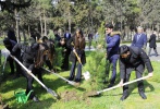 В рамках кампании «Справедливость к Ходжалы» в Сураханском районе состоялась акция по посадке деревьев
