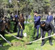 A tree-planting action takes place in Surakhany district in the framework of the campaign “Justice for Khojaly” 