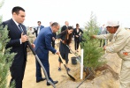 Президент Ильхам Алиев и члены семьи приняли участие в акции по посадке деревьев, посвященной дню рождения великого лидера Гейдара Алиева