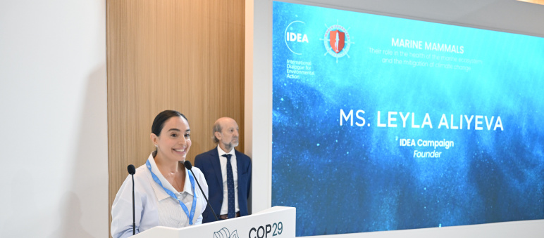 Leyla Əliyeva COP29 çərçivəsində dəniz canlılarına dair panel müzakirələrində iştirak edib