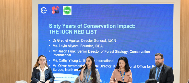 Leyla Əliyeva COP29 çərçivəsində nadir canlıların mühafizəsinə həsr olunan panel müzakirələrində iştirak edib