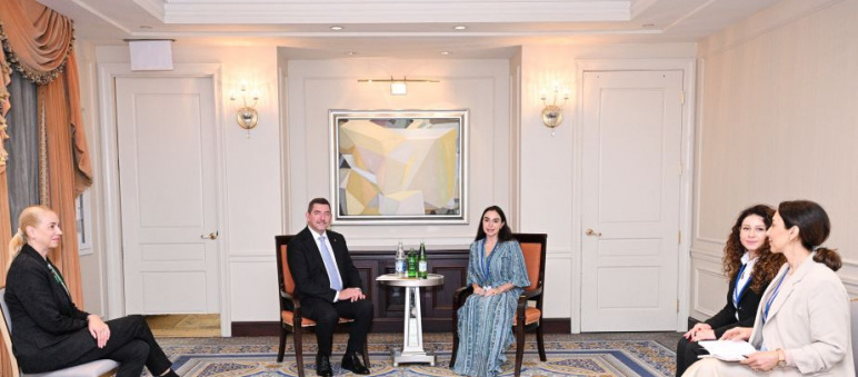 Vice-President of the Heydar Aliyev Foundation Leyla Aliyeva meets with Ales Musar, Spouse of the Slovenian President, in New York