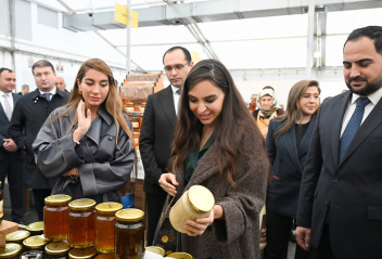 Leyla Əliyeva və Arzu Əliyeva arıçılıq məhsullarının sərgi-satış yarmarkasını ziyarət ediblər
