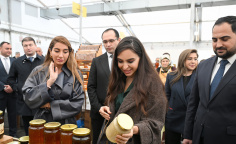 Leyla Əliyeva və Arzu Əliyeva arıçılıq məhsullarının sərgi-satış yarmarkasını ziyarət ediblər