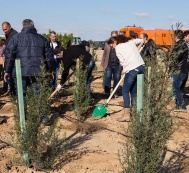 Кампания IDEA провела в поселке Зых акцию по посадке деревьев