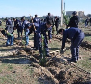 Leyla Aliyeva's IDEA social project had a tree-planting day in the city of Gandja