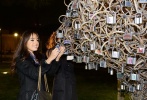 Dənizkənarı Milli Parkda “Məhəbbət ağacı” layihəsinin təqdimatı olub