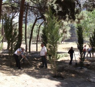  A tree planting action is held, following the initiative of the Heydar Aliyev Foundation and IDEA Public Association, in the Narimanov District of Baku 