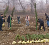  В рамках осуществляемого общественным объединением IDEA Общереспубликанского марафона по озеленению в Гусаре за один день высажено три тысячи деревьев