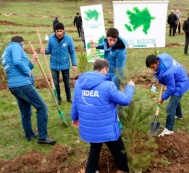  20 thousand trees will be planted in the action to take place within the framework of the project “Let us exchange every piece of paper for a leaf” 
