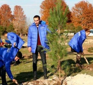  В Гяндже на территории парка-комплекса им. Гейдара Алиева будет высажено 6 тысяч деревьев 