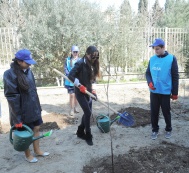 “School Gardens” projects is launched following Leyla Aliyeva’s initiative