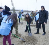 Для увековечения памяти 63 детей, погибших во время Ходжалинского геноцида, посажено 63 дерева